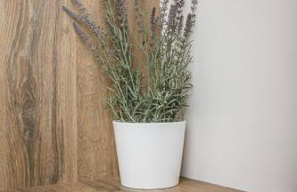 Votsalo Tolo - Foto 8