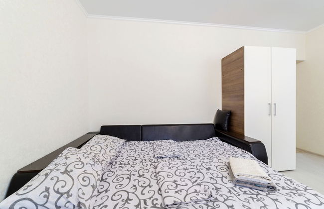 Apartament on Baumana Street - Foto 22