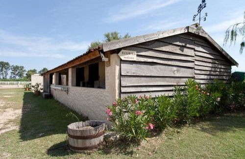 Gîtes Equestres Lou Caloun - Les Saintes Maries de la Mer - Foto 65