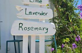 Spice Suites-Rosemary - Foto 18