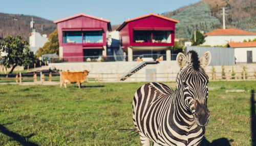 Quintãs Farm Houses - Foto 4
