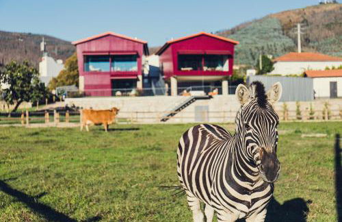 Quintãs Farm Houses - Foto 4