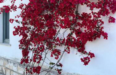 Villa Pavone - Foto 70