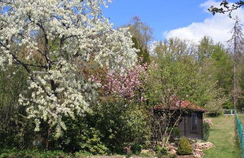 Ferienwohnung Rothirsch - Foto 43