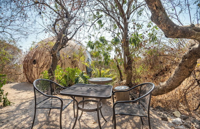 Bosque Geométrico - Foto 57