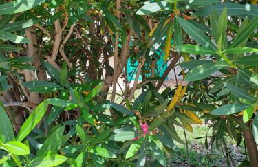 Case rotonde - Foto 13