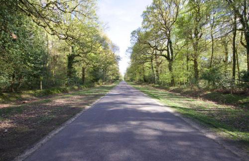 Avondale New Forest - Foto 23