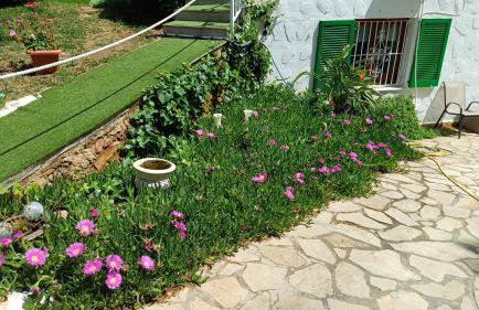 Ferienwohnung mit Privat-Pool - Photo 4