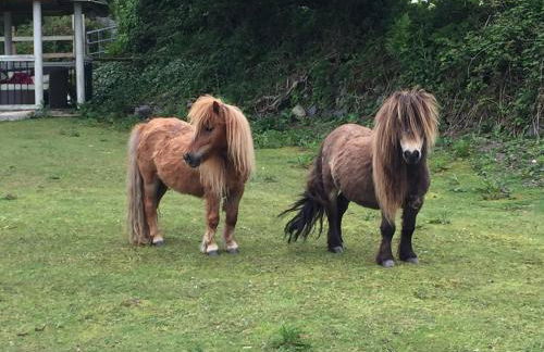 Miners Hut - Foto 26