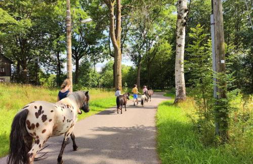 Ferienwohnung Erlebnisfarm John - Foto 9