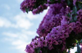SeVeN Holiday home - Barefoot by the Sea, Velebit, Nature - Photo 16