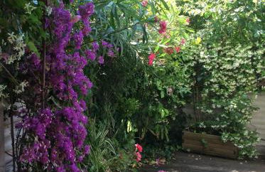 Appartement lumineux près de la mer à Marseille - 75 m² - Foto 11