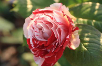 Casa vacanze Ester - Photo 62