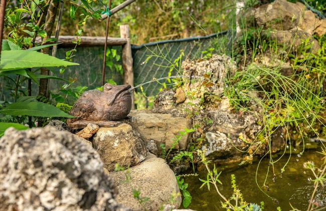 Country House Villa Nigro - Foto 49