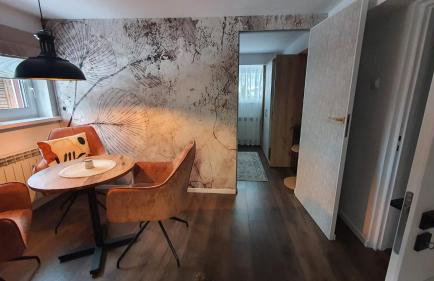 APARTAMENT POD ŚLIWKAMI - Foto 37