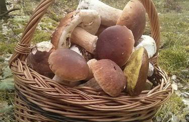 Apartament Perła 22 Jezioro Pluszne - Foto 6