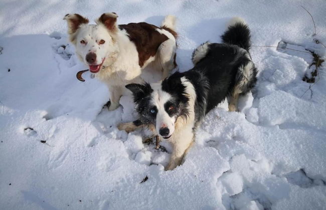 Tasteful Ground Floor Apartment with Terrace & Garden near Brilon - Foto 10