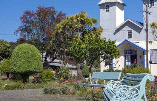 Isla de Chiloé: Chacao, Ancud y pingüinos de Puñihuil - Foto 1