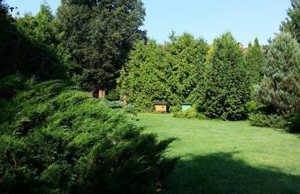 Kwiatowa Zagroda - Foto 1