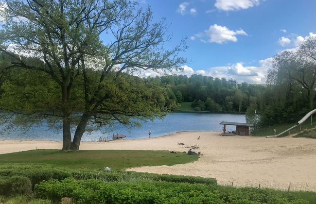 Waldrauschen - Foto 30