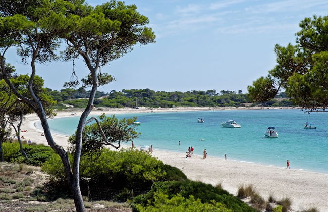 Aparthotel Isla de Cabrera - Photo 49