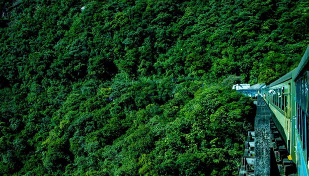 Morretes & Antonina Day Trip by Train - Photo 2