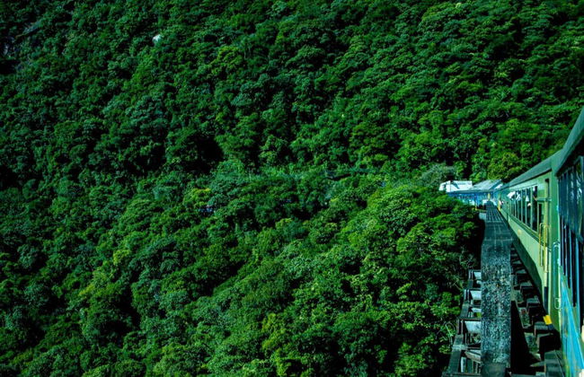 Morretes & Antonina Day Trip by Train - Photo 2