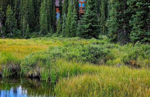 Moose Mtn Lodge/Luxury Cabin/Hot Tub/Fireplace - Foto 46