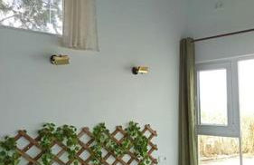 El Pinsapo - Foto 27