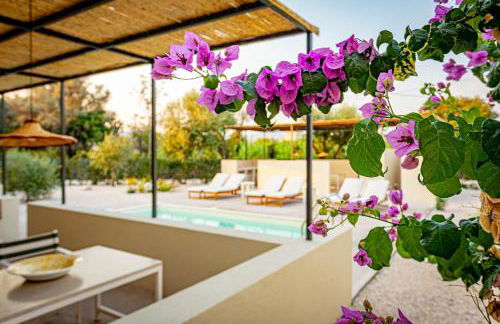 Xenia-Retreat - Foto 3