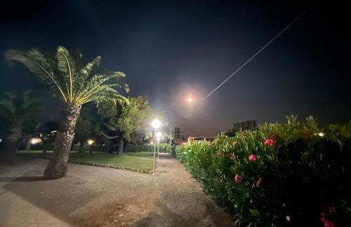 Pis la rapita - Foto 17