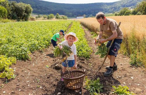 An Webers Stoag - Foto 17