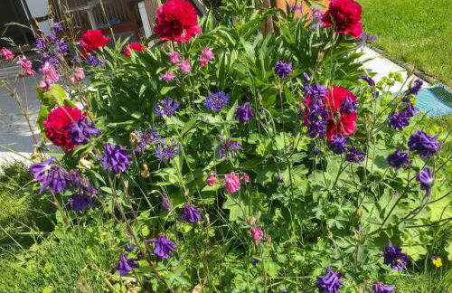 Böhmerwaldnest - Foto 40