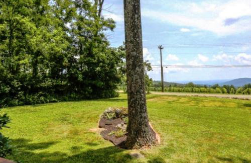 Blue Mountain Getaway Hot tub, Winery, Game Room - Foto 9