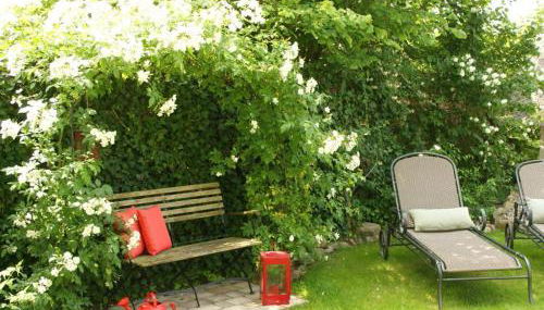 Reethus Starkikker - Foto 2, Other