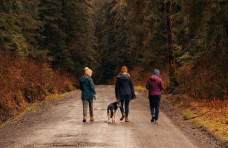 Stilly River Haus - Hot tub - Firepit - Fireplace - Foto 37