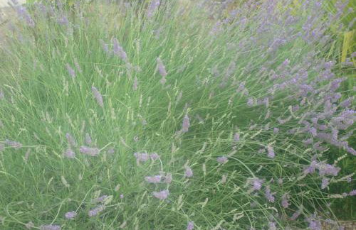 Apartment Nena - Foto 41