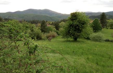 Casa Bartolacci Charme in Bivigliano (Near Mugello and Florence) - Foto 57