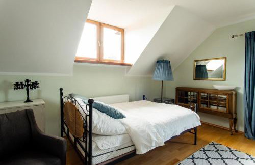 Dom nad jeziorem z prywatnym pomostem i lodka - Wifi i parking w cenie - Foto 16