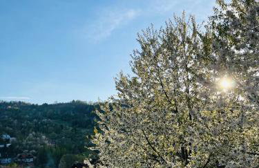 Domki Pienińskie Tarasy - Photo 26