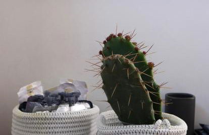 My Place Your Place - Foto 38