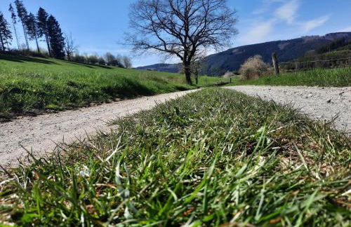 Ferienwohnung im Malerischen Eslohe - Foto 65