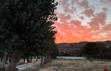 Villa Aljara - Photo 24