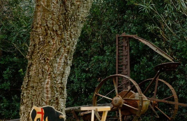 Agriturismo Monte Argentario - Foto 75