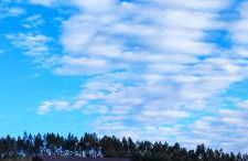 A casa de Foratoxo - Foto 18