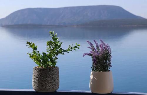 Grand Bleu Apartments & Villas - Foto 12