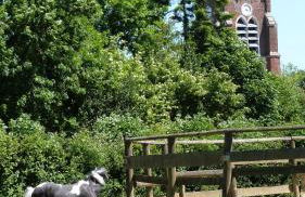 Gîte et Relais Equestre de Marie - Foto 77