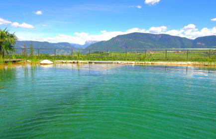 Oberberghof - Foto 7