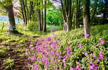 Summer Cottage in Onecote - Foto 19