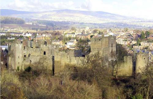 The Old Cider Mill - Photo 18